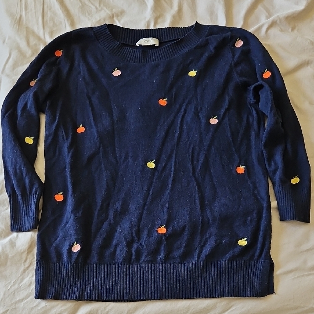 Navy Sweater with Colorful Apple Embroidery